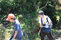 02tozan1 (1)_thumb.png